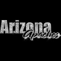 GLT1 SILVER GLITTER Thumbnail